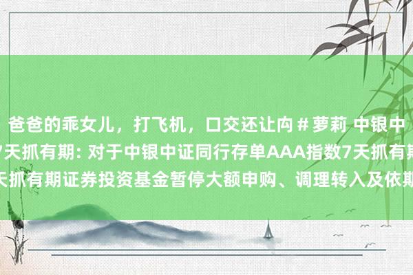 爸爸的乖女儿,打飞机,口交还让禸#萝莉 中银中证同行存单AAA指数7天抓有期: 对于中银中证同行存单AAA指数7天抓有期证券投资基金暂停大额申购、调理转入及依期定额投资业务的公告