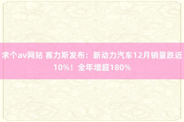 求个av网站 赛力斯发布：新动力汽车12月销量跌近10%！全年增超180%