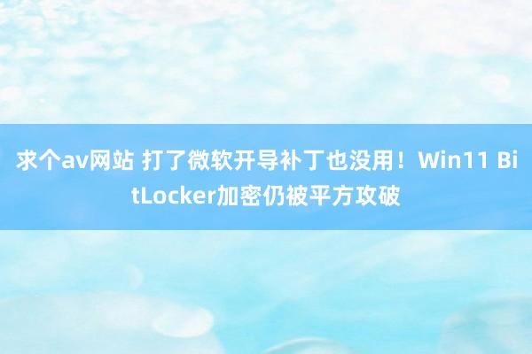 求个av网站 打了微软开导补丁也没用！Win11 BitLocker加密仍被平方攻破
