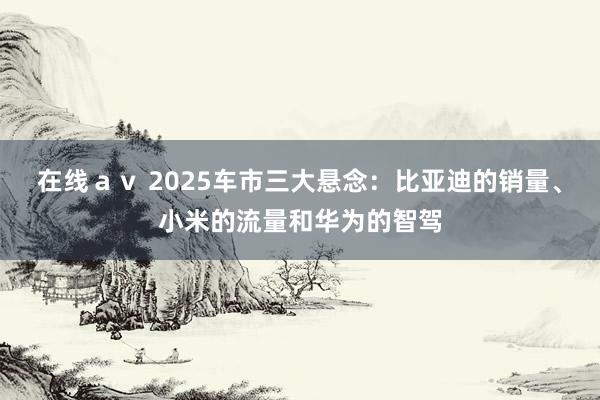 在线ａｖ 2025车市三大悬念：比亚迪的销量、小米的流量和华为的智驾