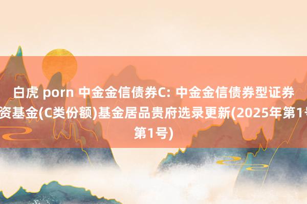 白虎 porn 中金金信债券C: 中金金信债券型证券投资基金(C类份额)基金居品贵府选录更新(2025年第1号)