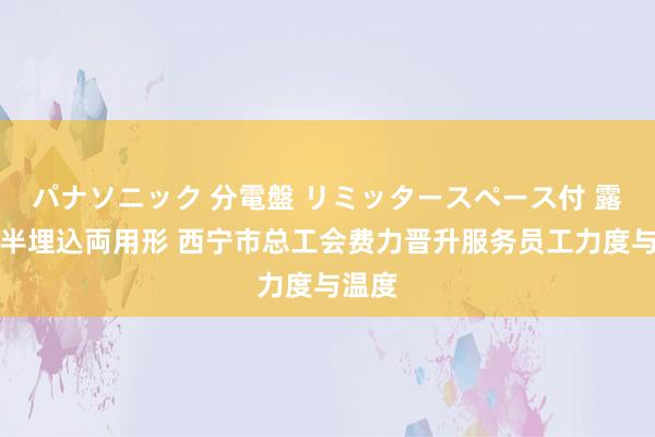 パナソニック 分電盤 リミッタースペース付 露出・半埋込両用形 西宁市总工会费力晋升服务员工力度与温度