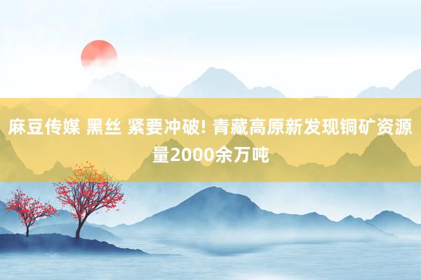 麻豆传媒 黑丝 紧要冲破! 青藏高原新发现铜矿资源量2000余万吨