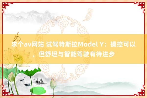 求个av网站 试驾特斯拉Model Y：操控可以，但舒坦与智能驾驶有待进步
