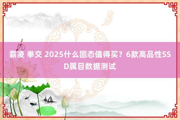 霸凌 拳交 2025什么固态值得买？6款高品性SSD属目数据测试