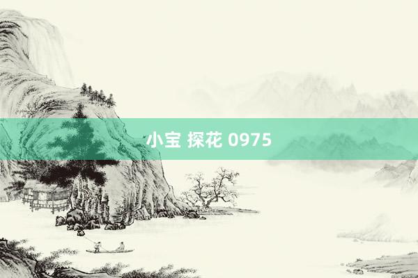 小宝 探花 0975