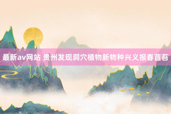 最新av网站 贵州发现洞穴植物新物种兴义报春苣苔