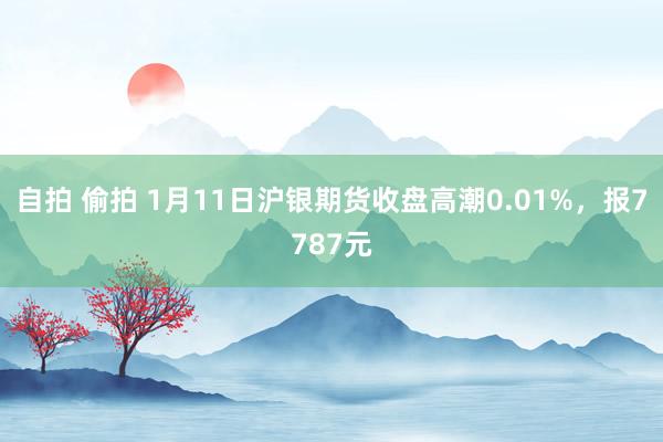 自拍 偷拍 1月11日沪银期货收盘高潮0.01%，报7787元