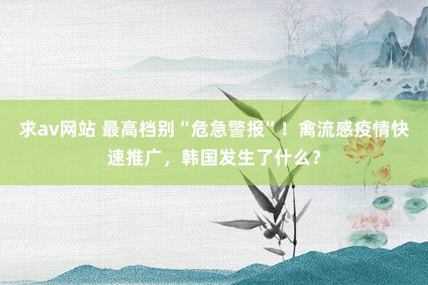 求av网站 最高档别“危急警报”！禽流感疫情快速推广，韩国发生了什么？