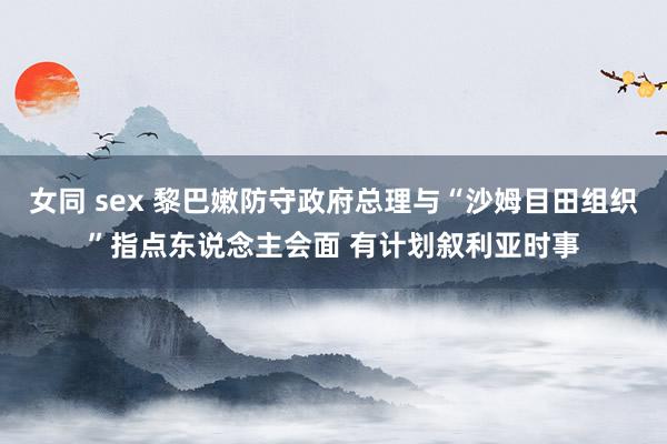 女同 sex 黎巴嫩防守政府总理与“沙姆目田组织”指点东说念主会面 有计划叙利亚时事