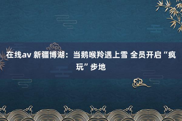 在线av 新疆博湖：当鹅喉羚遇上雪 全员开启“疯玩”步地