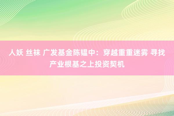 人妖 丝袜 广发基金陈韫中：穿越重重迷雾 寻找产业根基之上投资契机