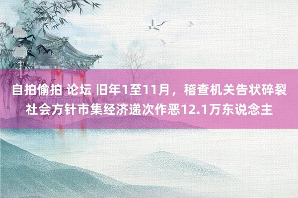 自拍偷拍 论坛 旧年1至11月，稽查机关告状碎裂社会方针市集经济递次作恶12.1万东说念主