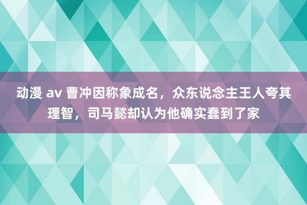 动漫 av 曹冲因称象成名，众东说念主王人夸其理智，司马懿却认为他确实蠢到了家