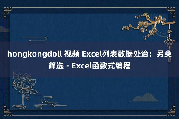 hongkongdoll 视频 Excel列表数据处治：另类筛选 - Excel函数式编程