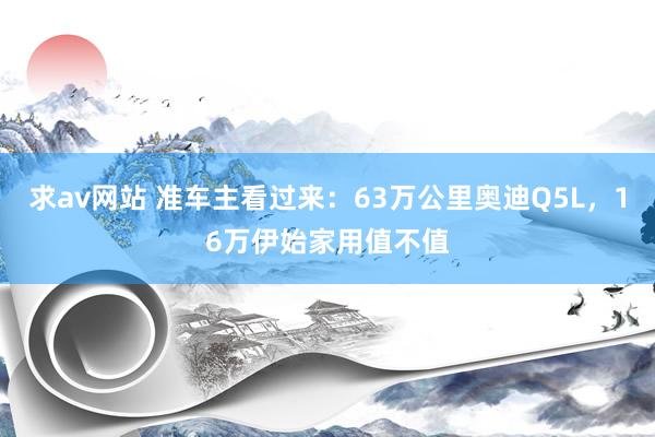 求av网站 准车主看过来：63万公里奥迪Q5L，16万伊始家用值不值