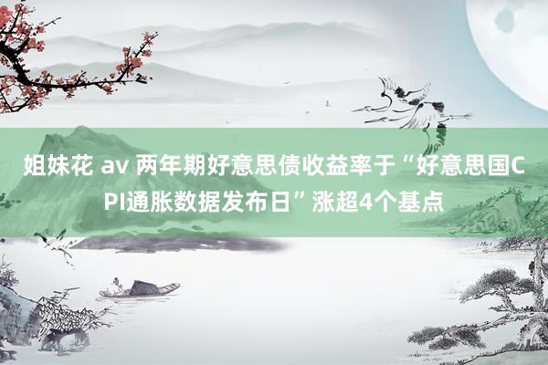 姐妹花 av 两年期好意思债收益率于“好意思国CPI通胀数据发布日”涨超4个基点