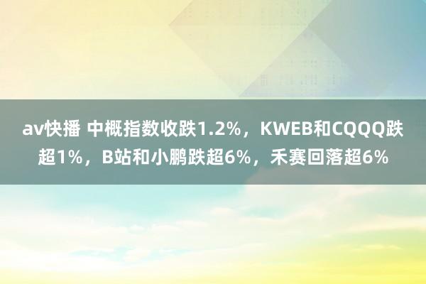 av快播 中概指数收跌1.2%，KWEB和CQQQ跌超1%，B站和小鹏跌超6%，禾赛回落超6%