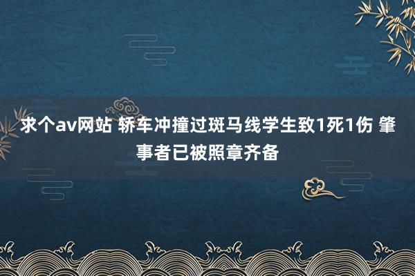 求个av网站 轿车冲撞过斑马线学生致1死1伤 肇事者已被照章齐备