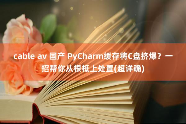 cable av 国产 PyCharm缓存将C盘挤爆？一招帮你从根柢上处置(超详确)