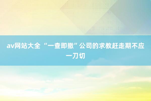 av网站大全 “一查即撤”公司的求教赶走期不应一刀切