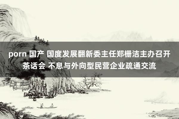 porn 国产 国度发展翻新委主任郑栅洁主办召开茶话会 不息与外向型民营企业疏通交流