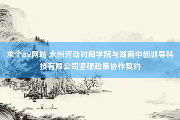 求个av网站 永州劳动时间学院与湖南中创训导科技有限公司坚硬政策协作契约