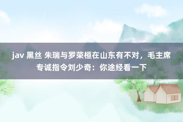 jav 黑丝 朱瑞与罗荣桓在山东有不对，毛主席专诚指令刘少奇：你途经看一下