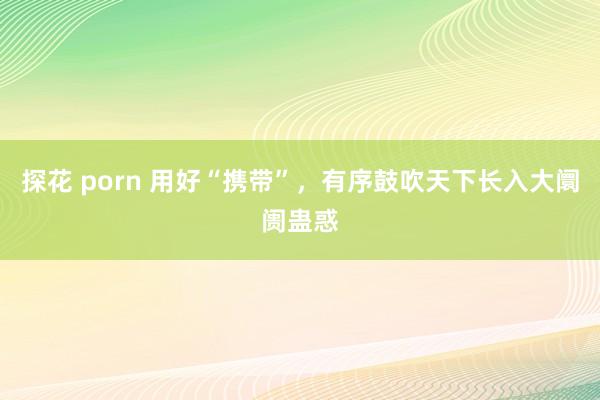 探花 porn 用好“携带”，有序鼓吹天下长入大阛阓蛊惑