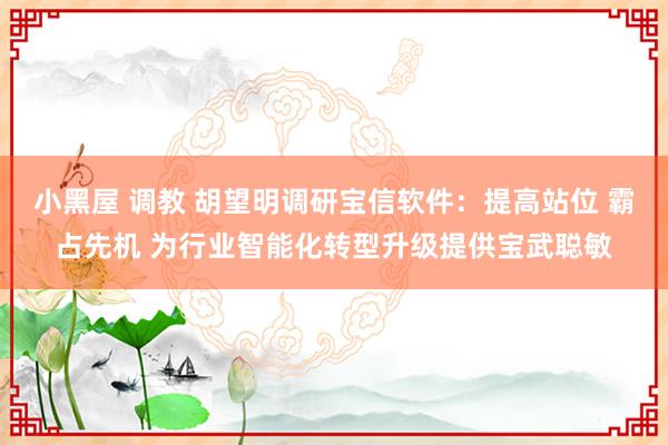 小黑屋 调教 胡望明调研宝信软件：提高站位 霸占先机 为行业智能化转型升级提供宝武聪敏