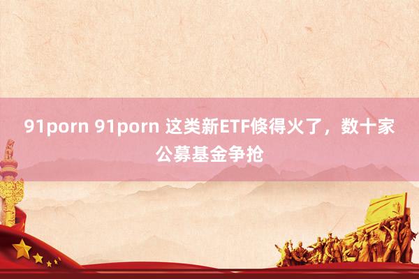 91porn 91porn 这类新ETF倏得火了，数十家公募基金争抢