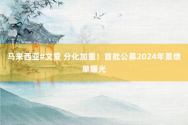 马来西亚#文爱 分化加重！首批公募2024年景绩单曝光