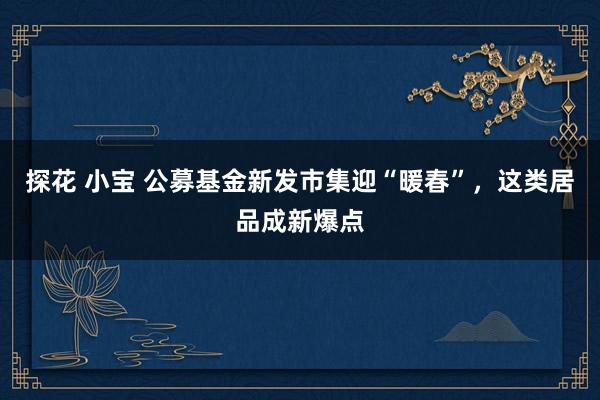 探花 小宝 公募基金新发市集迎“暖春”，这类居品成新爆点