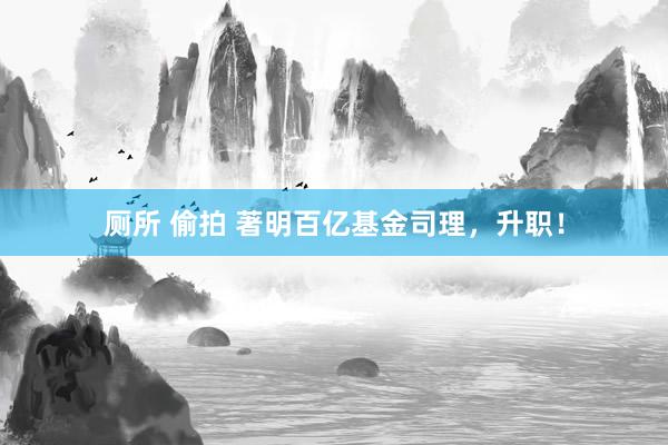厕所 偷拍 著明百亿基金司理，升职！