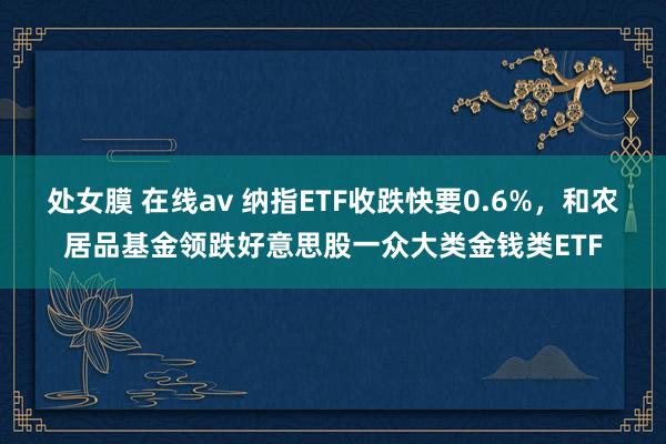 处女膜 在线av 纳指ETF收跌快要0.6%，和农居品基金领跌好意思股一众大类金钱类ETF
