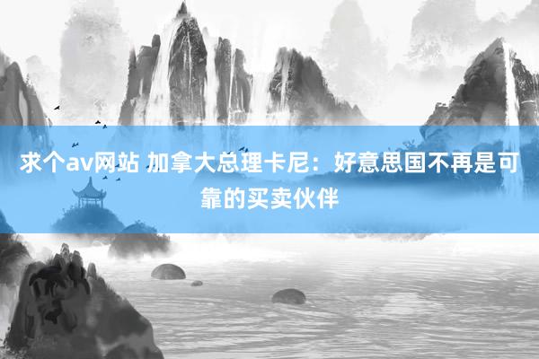 求个av网站 加拿大总理卡尼：好意思国不再是可靠的买卖伙伴