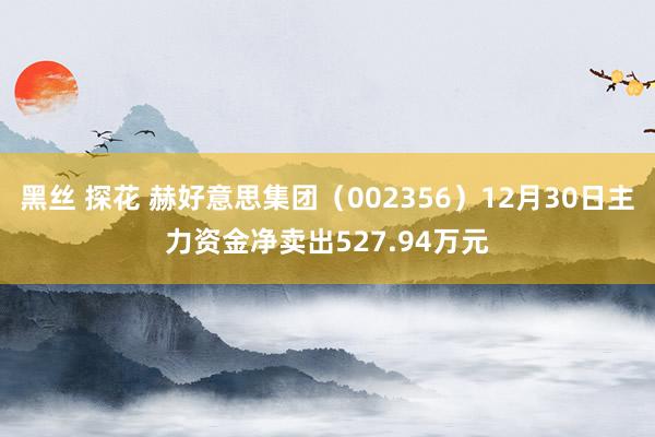 黑丝 探花 赫好意思集团（002356）12月30日主力资金净卖出527.94万元