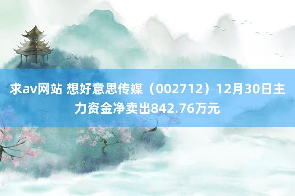 求av网站 想好意思传媒（002712）12月30日主力资金净卖出842.76万元