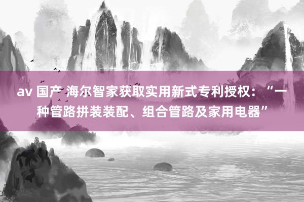 av 国产 海尔智家获取实用新式专利授权：“一种管路拼装装配、组合管路及家用电器”