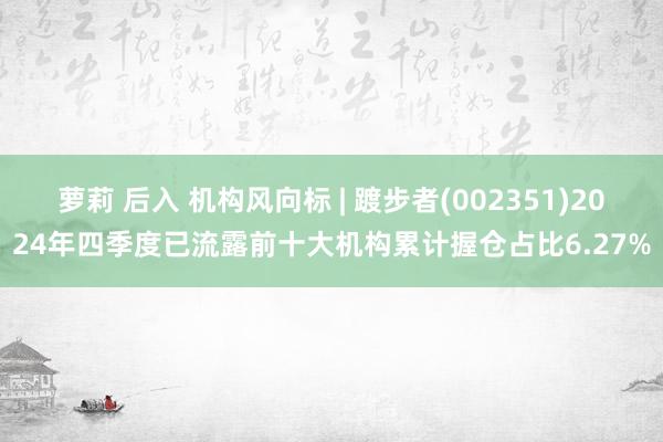 萝莉 后入 机构风向标 | 踱步者(002351)2024年四季度已流露前十大机构累计握仓占比6.27%