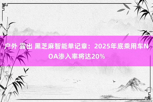 户外 露出 黑芝麻智能单记章：2025年底乘用车NOA渗入率将达20%