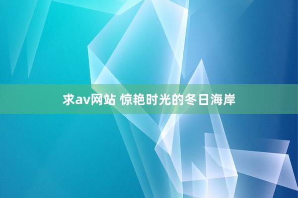 求av网站 惊艳时光的冬日海岸