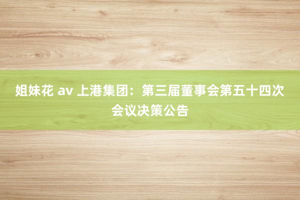 姐妹花 av 上港集团：第三届董事会第五十四次会议决策公告