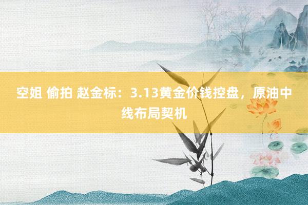 空姐 偷拍 赵金标：3.13黄金价钱控盘，原油中线布局契机