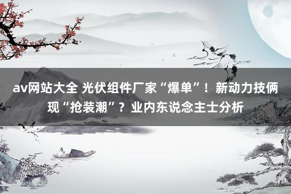 av网站大全 光伏组件厂家“爆单”！新动力技俩现“抢装潮”？业内东说念主士分析