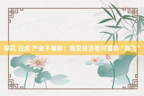 探花 白虎 产业不雅察：低空经济若何蓄势“高飞”