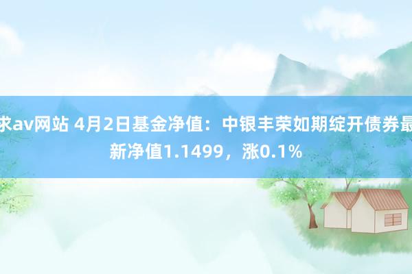 求av网站 4月2日基金净值：中银丰荣如期绽开债券最新净值1.1499，涨0.1%