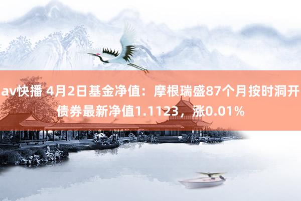 av快播 4月2日基金净值：摩根瑞盛87个月按时洞开债券最新净值1.1123，涨0.01%