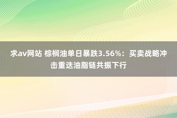求av网站 棕榈油单日暴跌3.56%：买卖战略冲击重迭油脂链共振下行