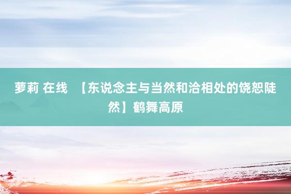 萝莉 在线  【东说念主与当然和洽相处的饶恕陡然】鹤舞高原